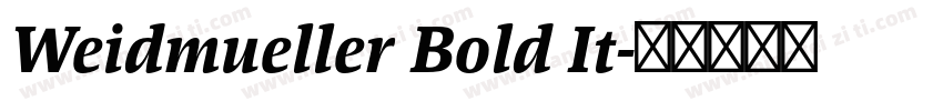 Weidmueller Bold It字体转换